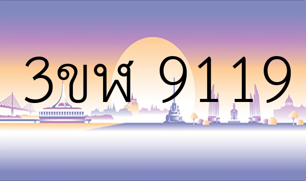 3ขฬ 9119